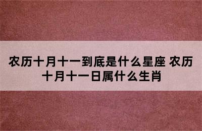 农历十月十一到底是什么星座 农历十月十一日属什么生肖